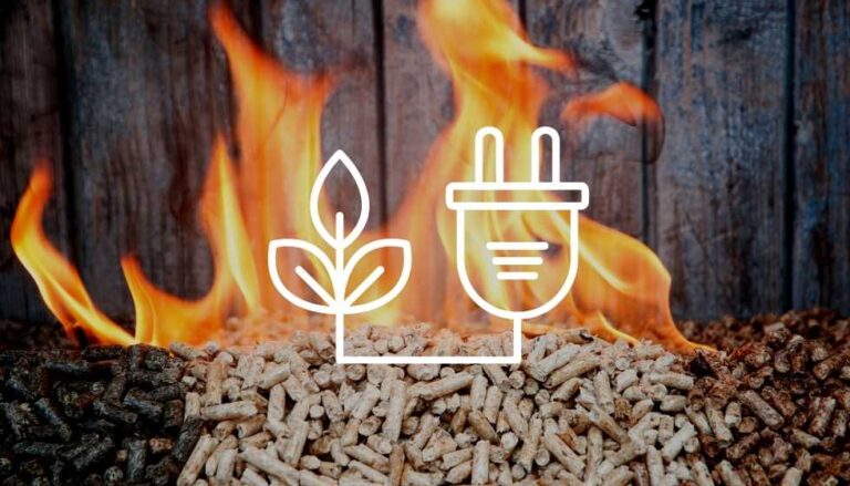 Què és l’Energia Biomassa?